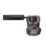 Hikmicro Wildkamera T16